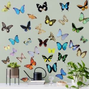 Wandtattoo 35-teilig No.51 Schmetterlinge Set 2