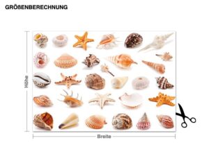 Wandtattoo Muscheln 3D