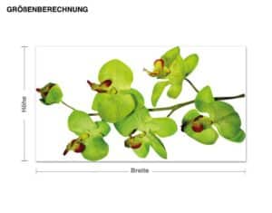 Wandtattoo Baum Orchideenzweig